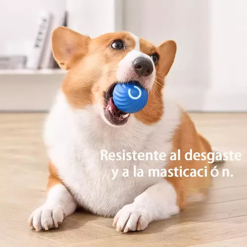 Pelota interactiva Juguete Gato Perro