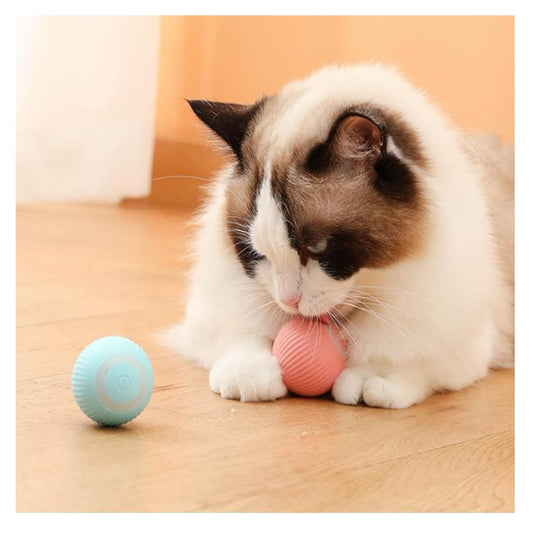 Pelota interactiva Juguete Gato Perro